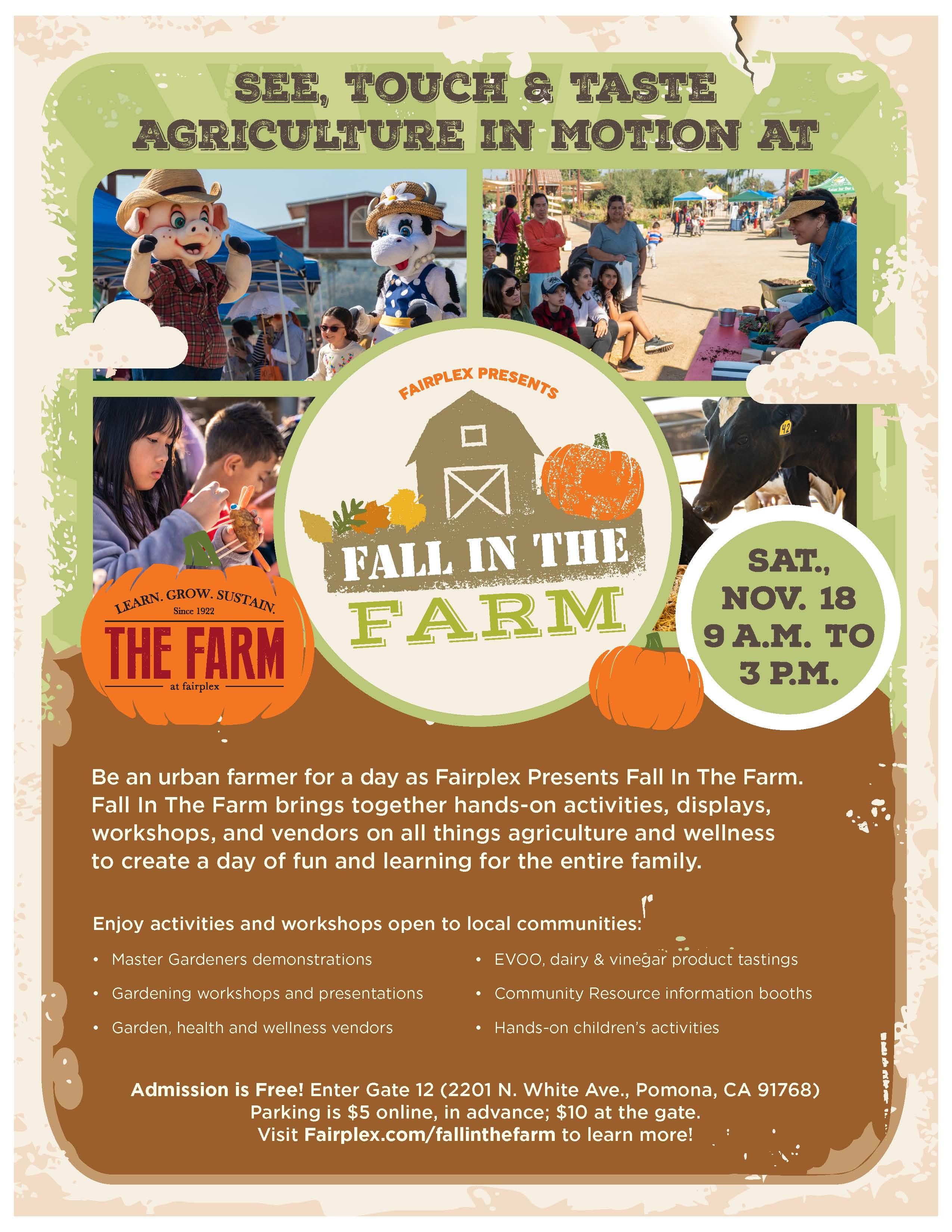 Fall in the Farm at Fariplex